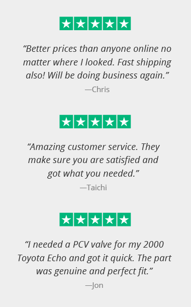 5 star rated by our customers on trustpilot